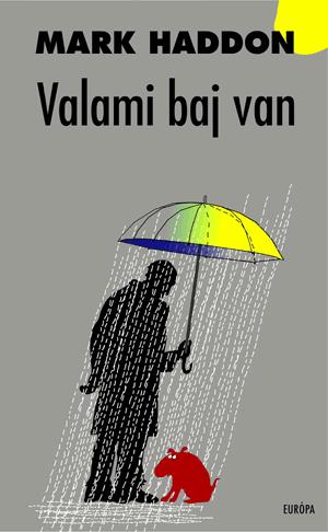 Valami baj van