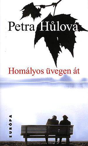 Homályos üvegen át